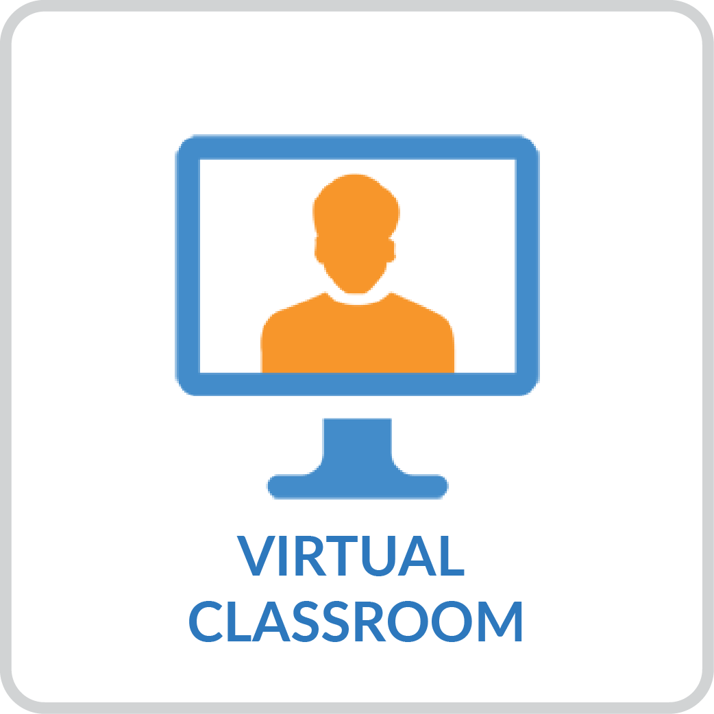 person on computer icon with caption virtual classroom