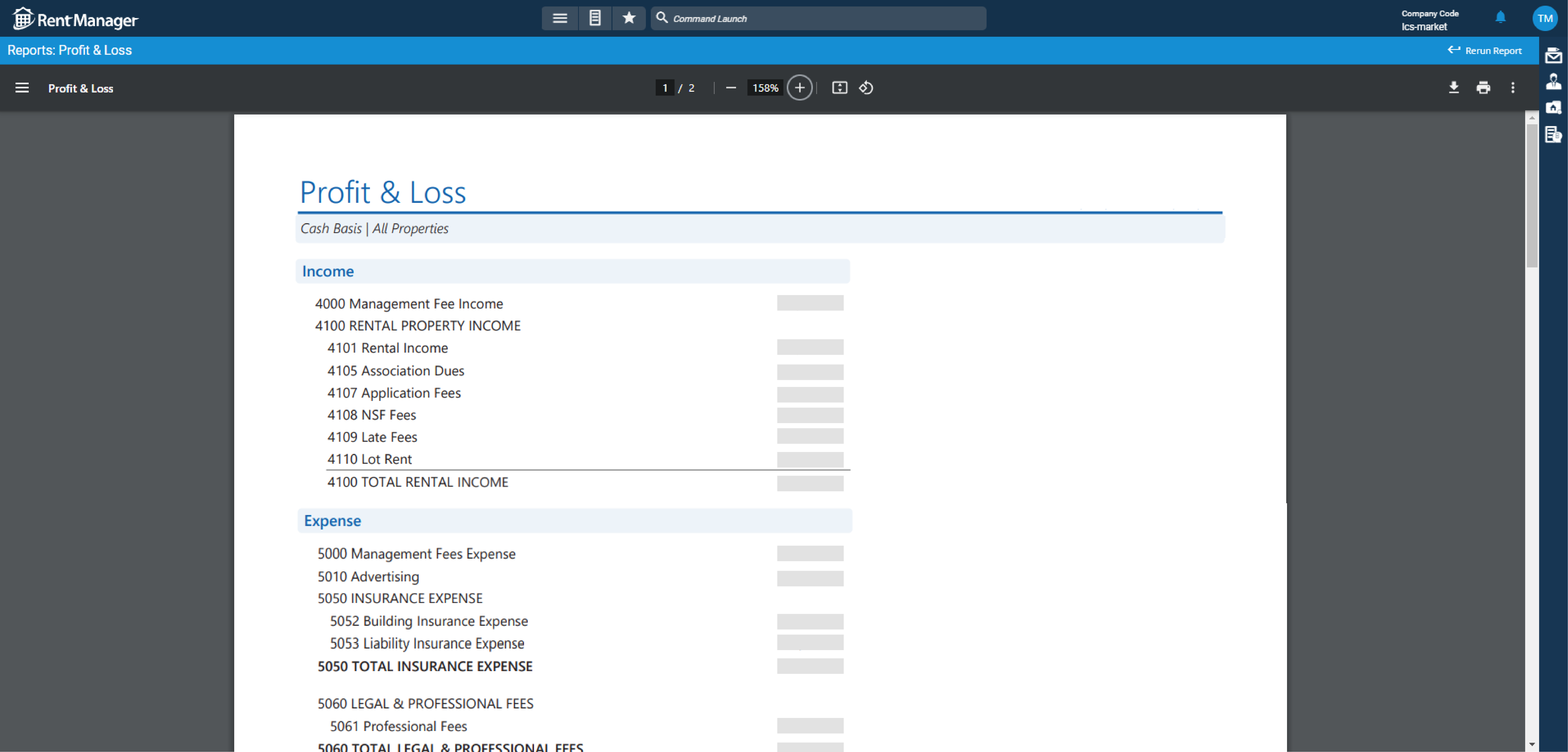 Profit & Loss report example
